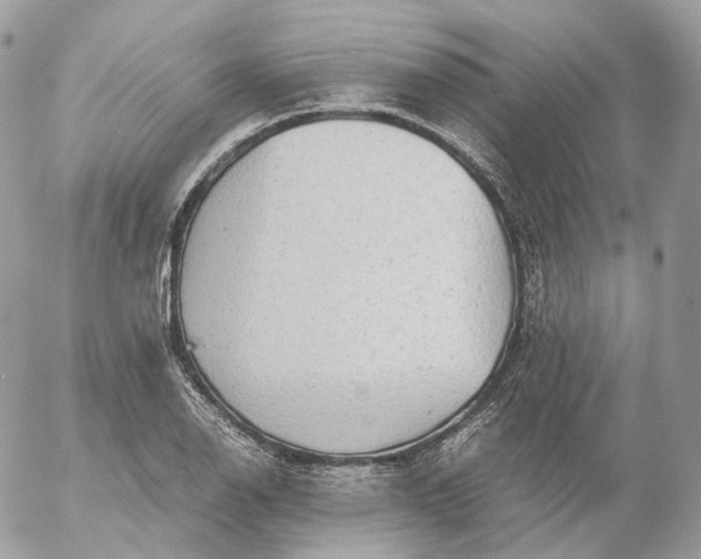 X0000052631126200507221743