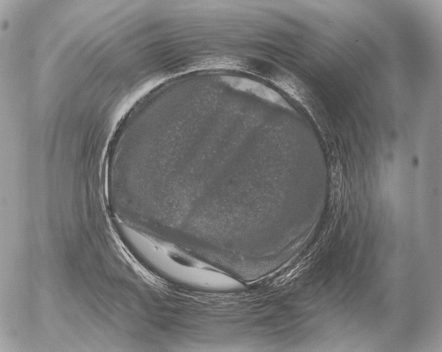 X0000052631127200507221743