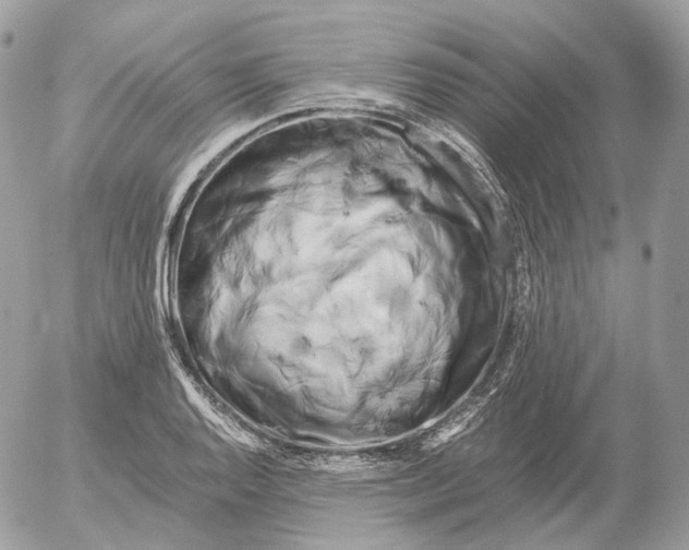 X0000052631128200507221743