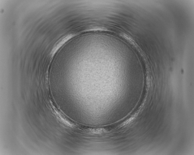 X0000052631129200507221743