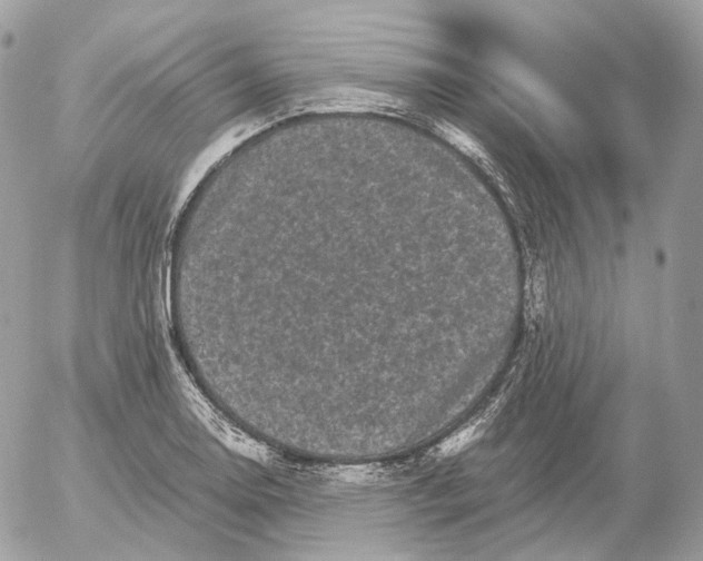 X0000052631130200507221743