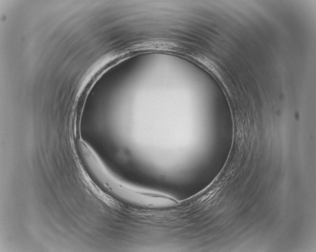 X0000052631131200507221743