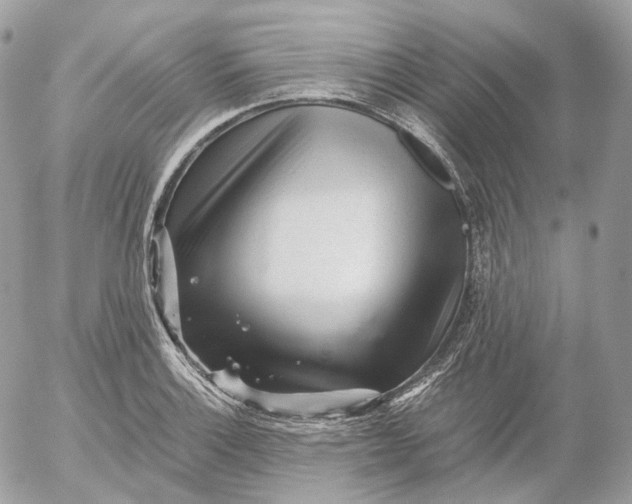 X0000052631132200507221743