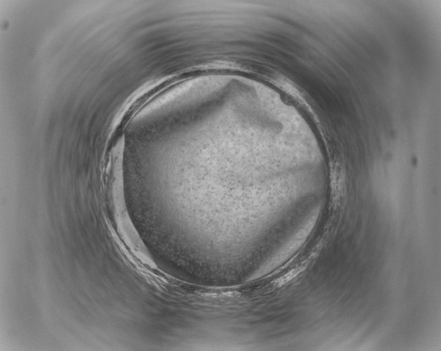 X0000052631133200507221743