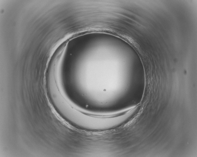 X0000052631134200507221743