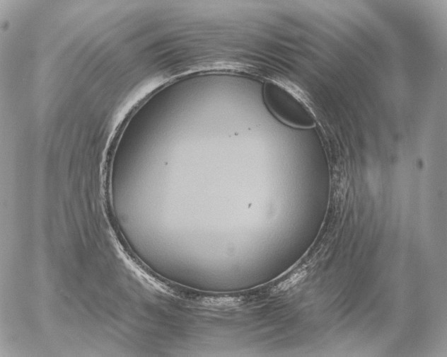 X0000052631135200507221743