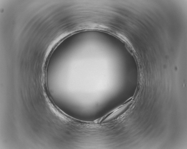 X0000052631136200507221743