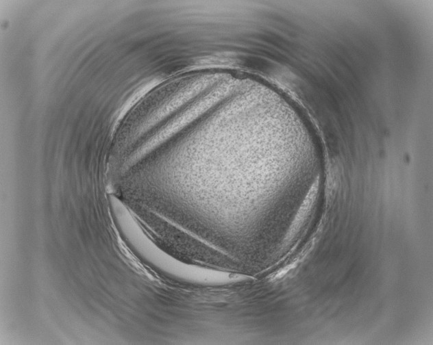 X0000052631137200507221743