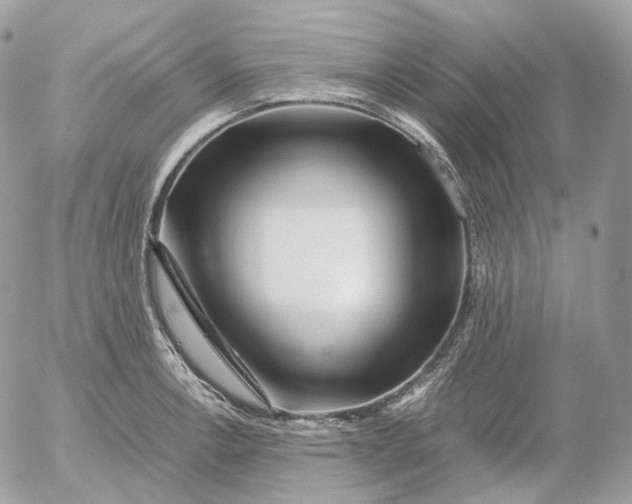 X0000052631138200507221743