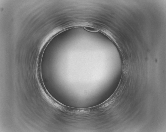 X0000052631139200507221743