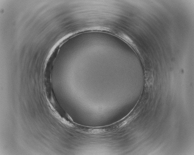 X0000052631140200507221743