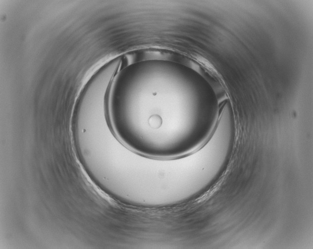 X0000052631141200507221743