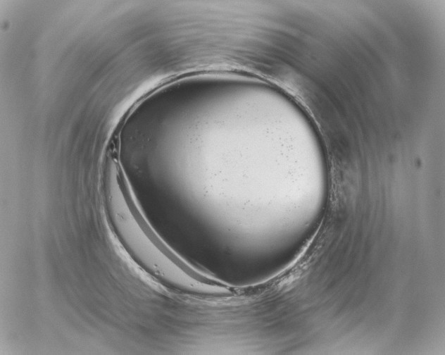 X0000052631142200507221743