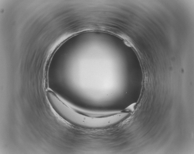 X0000052631143200507221743