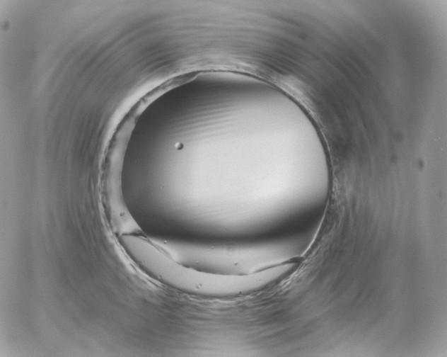 X0000052631144200507221743