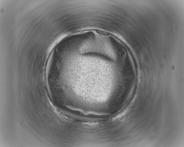 X0000052631145200507221743