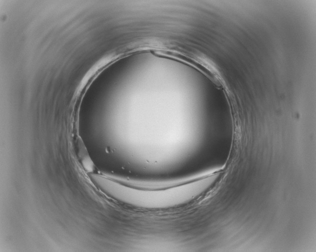 X0000052631146200507221743