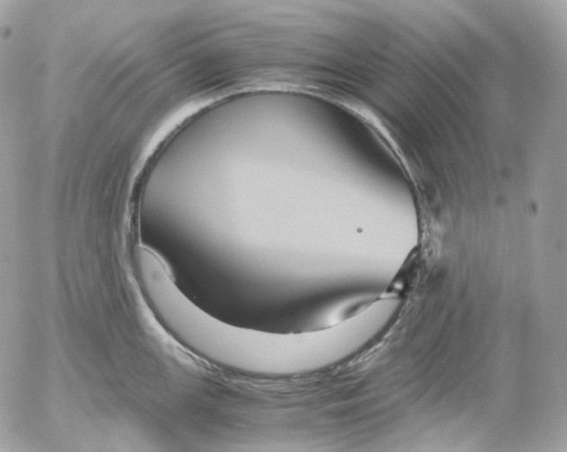 X0000052631147200507221743