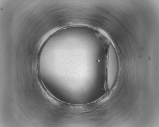 X0000052631149200507221743