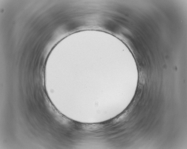 X0000052631150200507221743