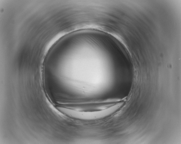 X0000052631151200507221743