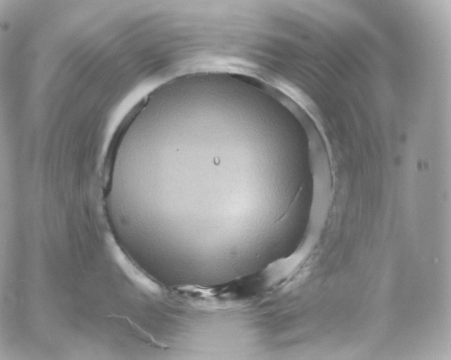 X0000052631152200507221743