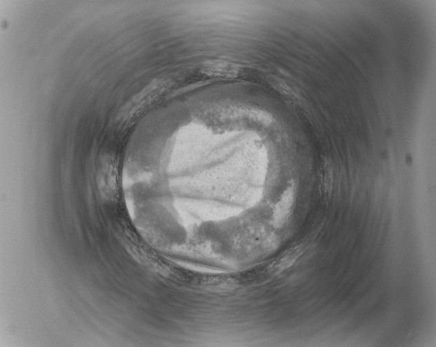 X0000052631154200507221743