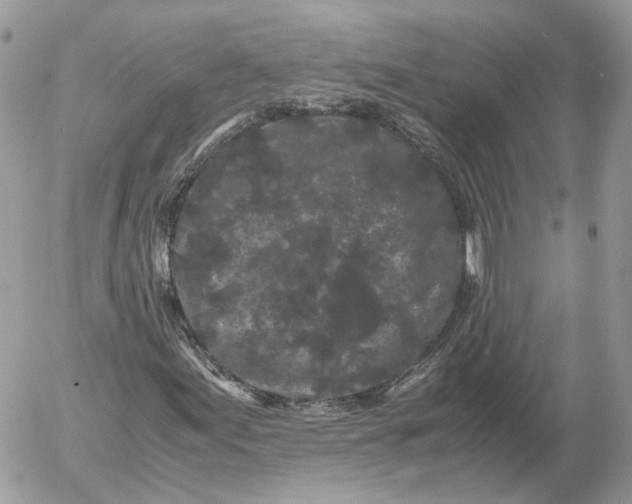 X0000052631155200507221743