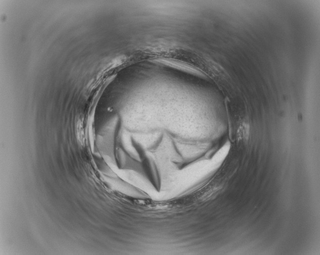 X0000052631156200507221743