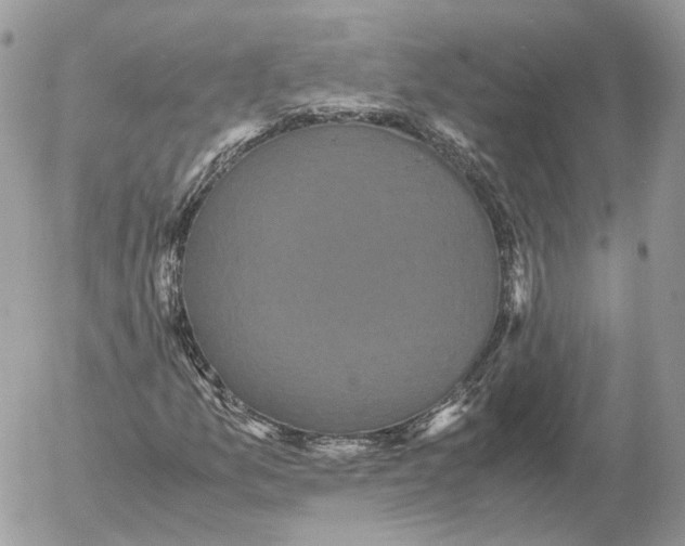 X0000052631157200507221743