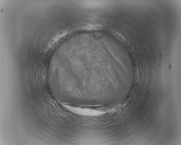 X0000052631158200507221743