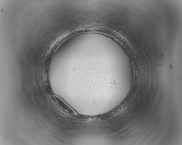 X0000052631160200507221743