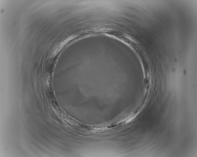 X0000052631161200507221742