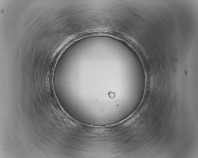 X0000052631162200507221742