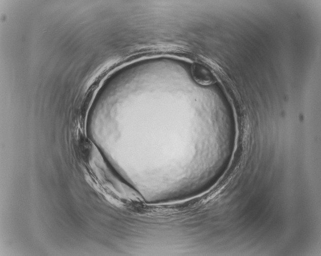 X0000052631163200507221742