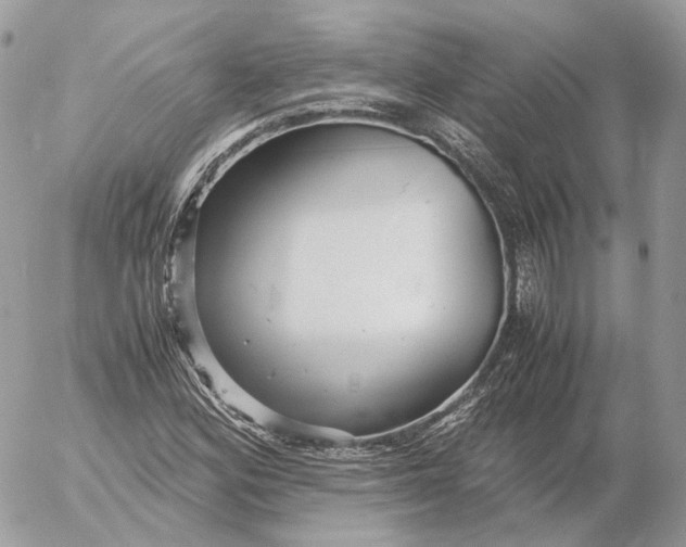 X0000052631164200507221742