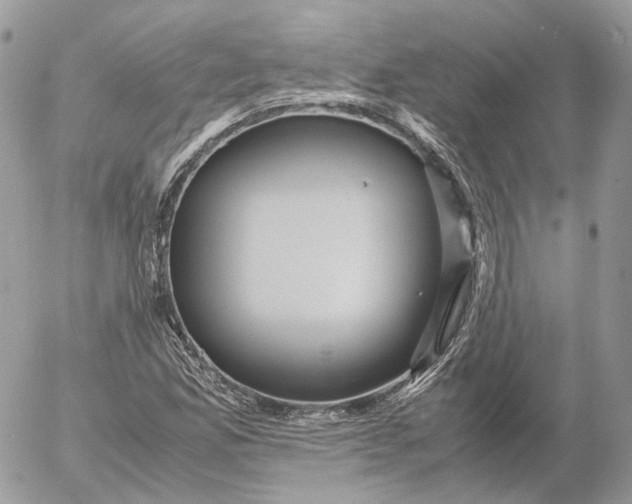 X0000052631165200507221742