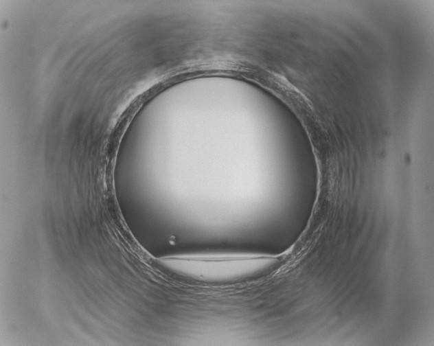 X0000052631166200507221742