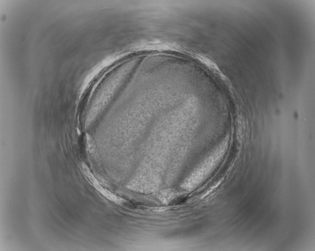 X0000052631167200507221742