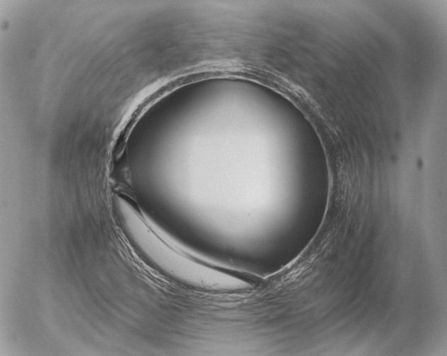 X0000052631168200507221742