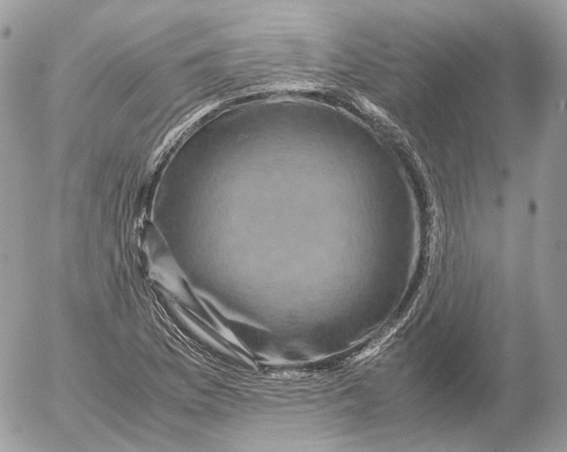 X0000052631169200507221742