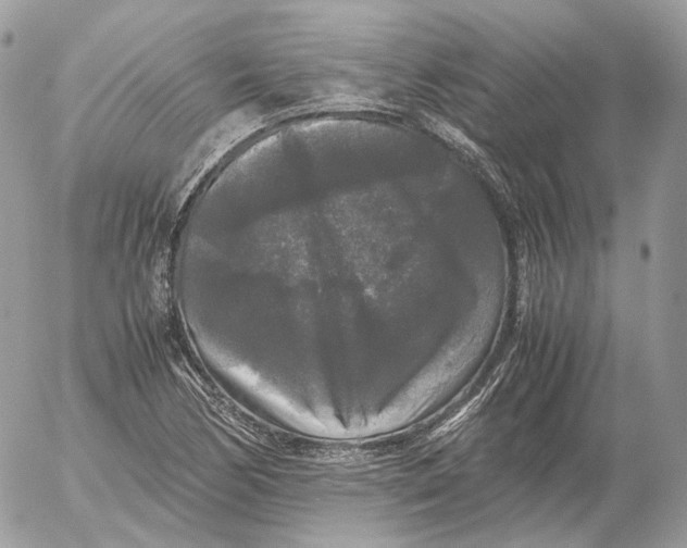 X0000052631170200507221742