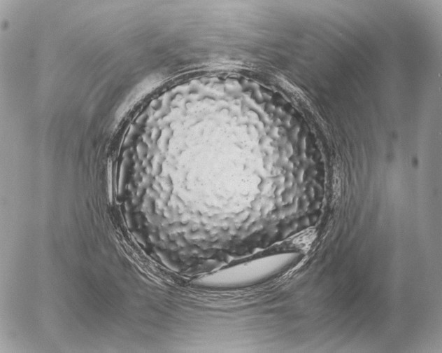 X0000052631171200507221742