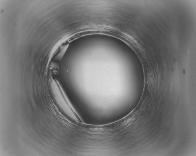 X0000052631172200507221742