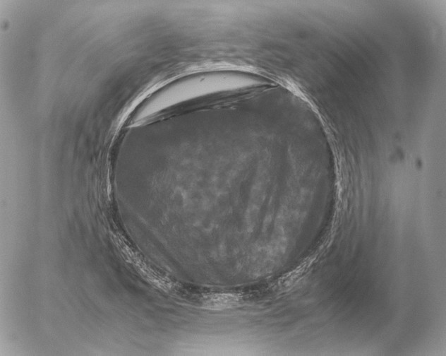 X0000052631173200507221742