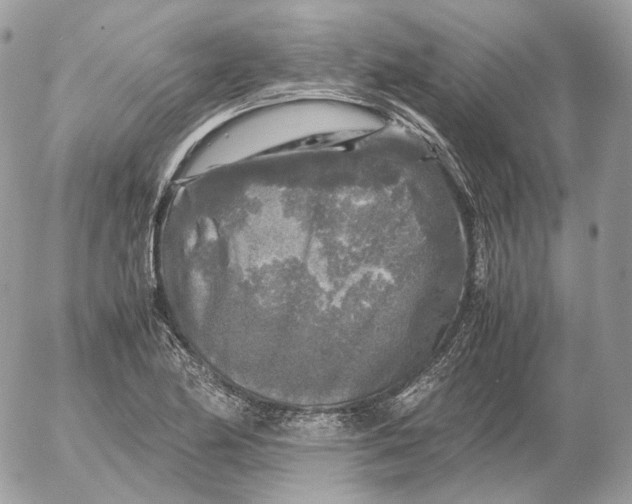 X0000052631174200507221742