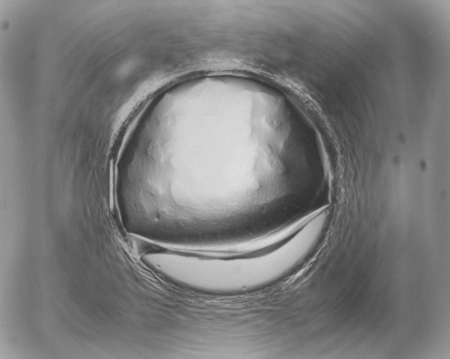 X0000052631175200507221742