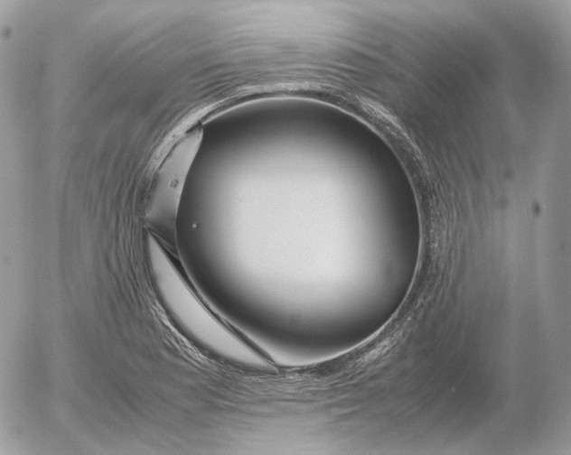 X0000052631177200507221742