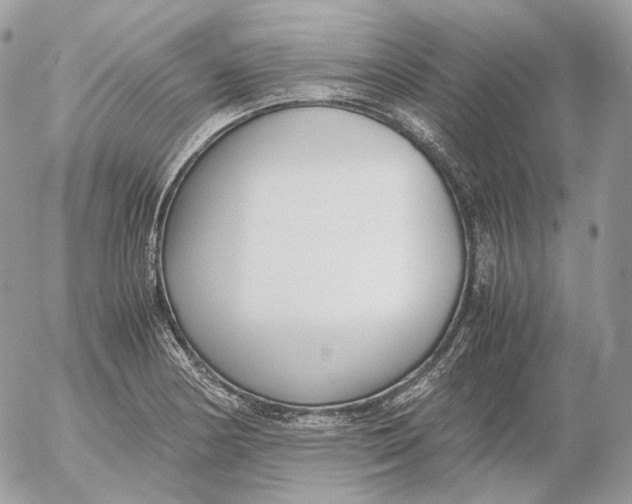 X0000052631178200507221742