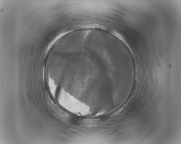 X0000052631179200507221742